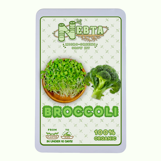 Nebta MicroGreens Grow Kit | Broccoli