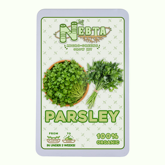 Nebta MicroGreens Grow Kit | Parsley